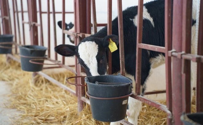 ‘Livestock reduction is a very dangerous occurrence’