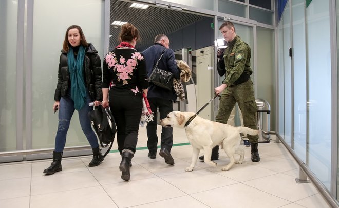 Customs don’t greenlight — 500 parcels with counterfeit revealed in Tatarstan