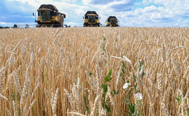 Tatarstan names leaders in harvesting