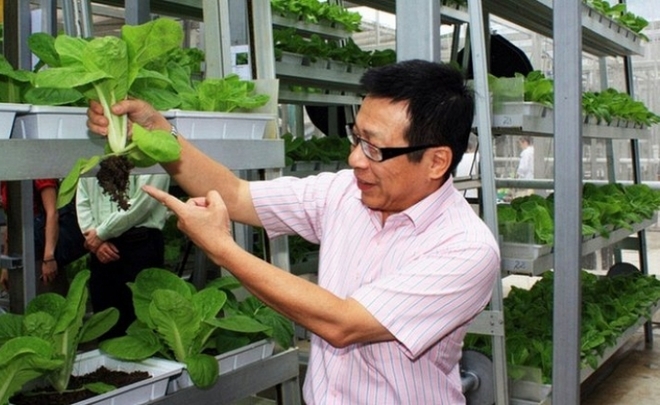 Singaporean miracle: farmers on the roofs, export of potable water and lord of the taxi drives