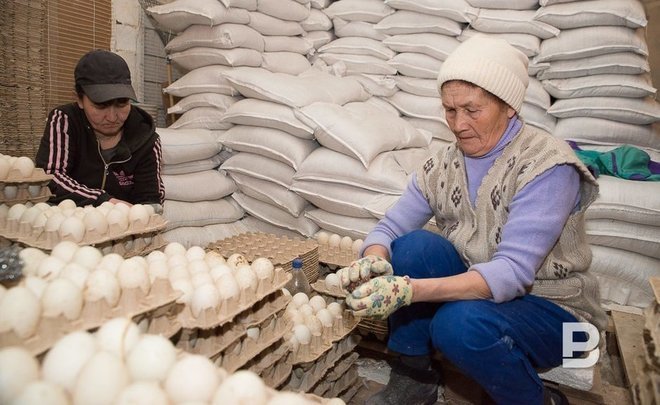 Who to blame for rise in egg price — greedy producers or manipulative retailers?