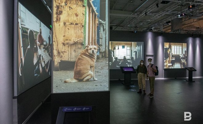 Multimedia old country — Sasha Grom's exhibition shows nonglossy history of Russia