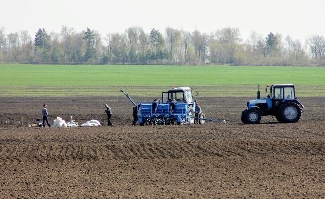 Tatarstan agriculturists fear losing up to 20% of future grain harvest due to heatwave