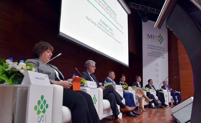 MES-2018: about search for investors, MRI and how not to see a doctor at all