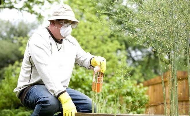 Aleksey Kalachev: ‘The position of fertiliser producers looks strong’