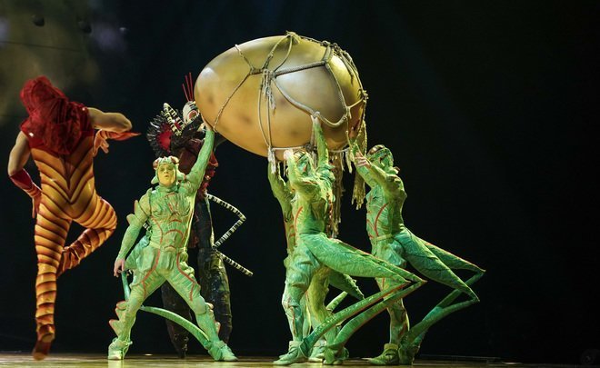 The life of insects