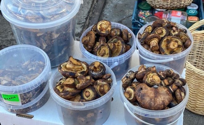 Silent hunting season in Tatarstan opens with expensive mushrooms in the markets