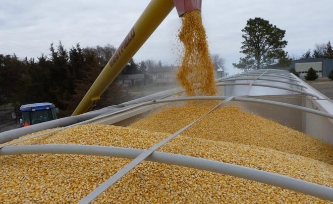 Alexander Potavin: ‘Something went wrong with the full implementation of the grain deal’