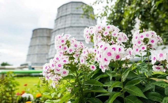 Cogeneration and fall in BSFC as effective way of carbon footprint reduction