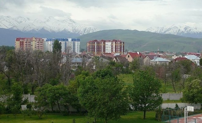Yulia Prokhorova: ‘The market of Kyrgyzstan is not sufficiently developed, so there are almost no competitors’