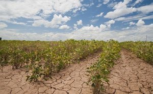 Enlarging farmland due to global warming can further spur climate change