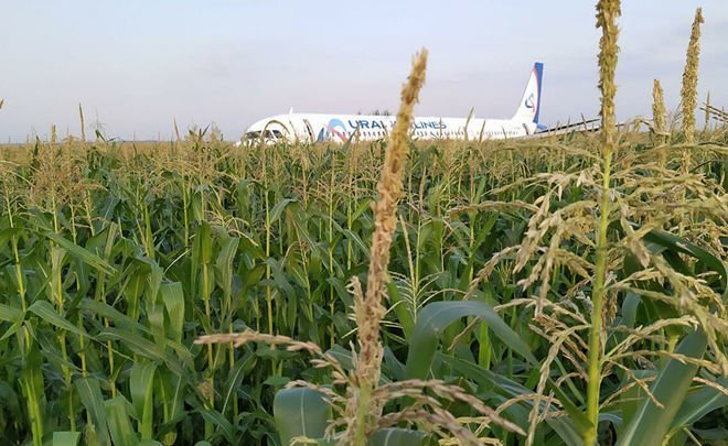 How “flying Tatar man” organised second birthday for 200 passengers