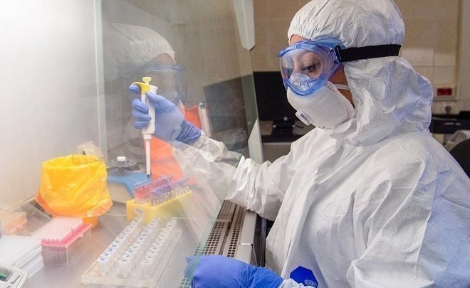 ‘COVID-19 is a shot against a global catastrophe’: what will happen after pandemic