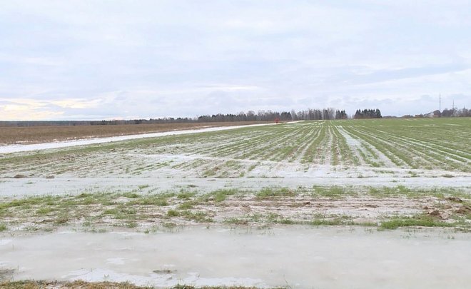 ‘It isn't spring, autumn or winter’ — up to 15% of fields suffer in Tatarstan