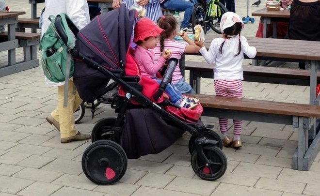 “We should not expect a big flow of migrants to Russia. It is necessary to solve problems with birth rate”