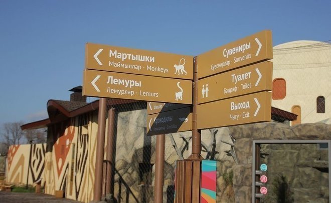Kazan zoo resumes struggle for elephants, rhinos and five-metre giraffes