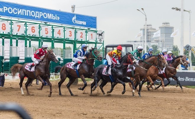 ‘The majority will refuse to move’: horses from the Central Moscow Hippodrome transferred to Kazan