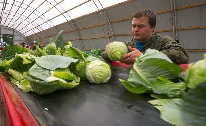 “We can't leave fields and farms” — farmers asking for support
