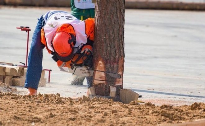 What’s happening in timber market: problems and solutions