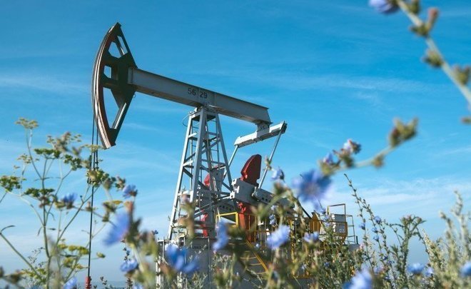 ‘Romashkino gives up to 15m tonnes of light oil, but how long will it last?’