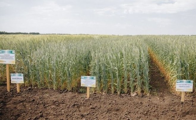 Over $2m to be spent to build agrobiotech park in Tatarstan’s Laishevo District