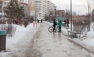 ‘This winter isn’t abnormally but extremely warm’