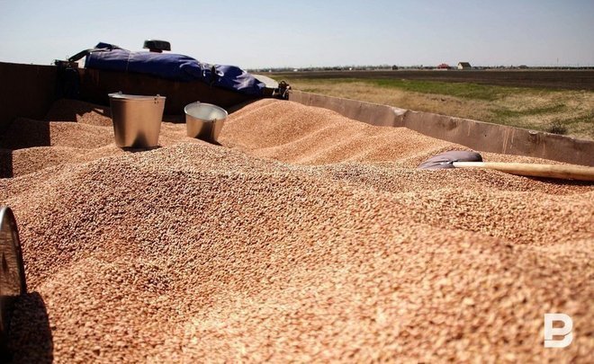 Anna Buylakova: ‘Consequences of the special operation superimposed on market situation on world grain market’