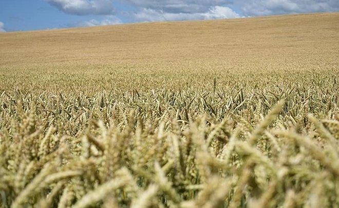 ‘Their crops are so good they open new markets year after year’