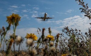 “We will fly anyway!”: Tatarstan might need half a billion for subsidies of regional aviation