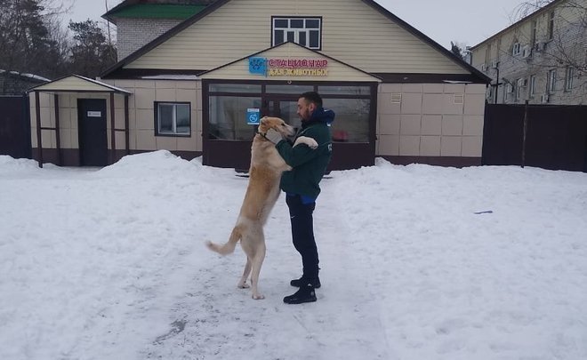 ‘We are probably the first in the Volga region’ — state pet hotel opens in Kazan
