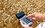 Floating tax on Russian grain exports confirmed