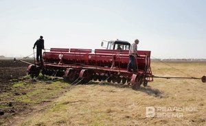 Tatarstan plans to declare emergency state due to drought this week