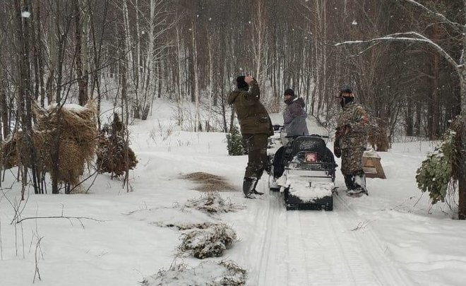 Extermination prescribed to wild boars of Tatarstan