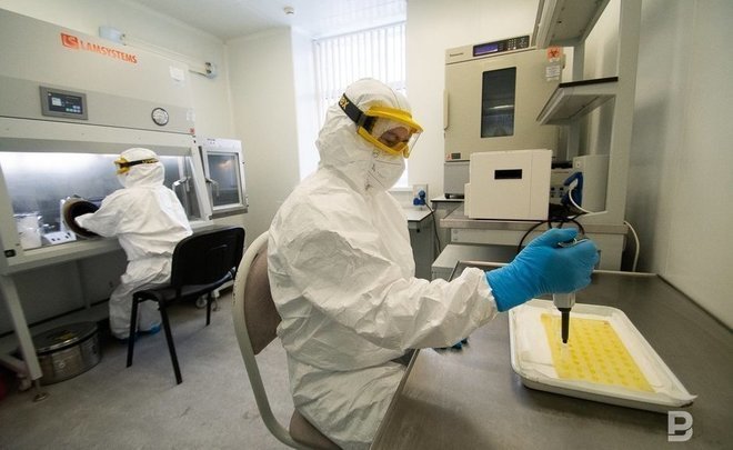 Russian Defence Ministry: the US studied ways of transmitting diseases to humans through bats in Ukraine