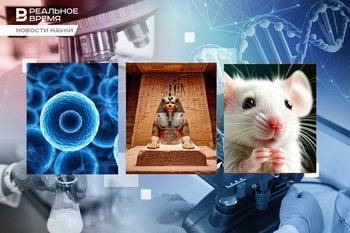 Human-mouse chimera, the secrets of Tutankhamun's tomb, the fight against cancer
