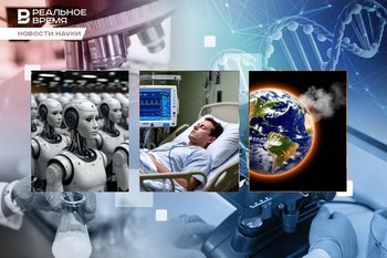 Pig liver, accelerated global warming, sociology of ai agents