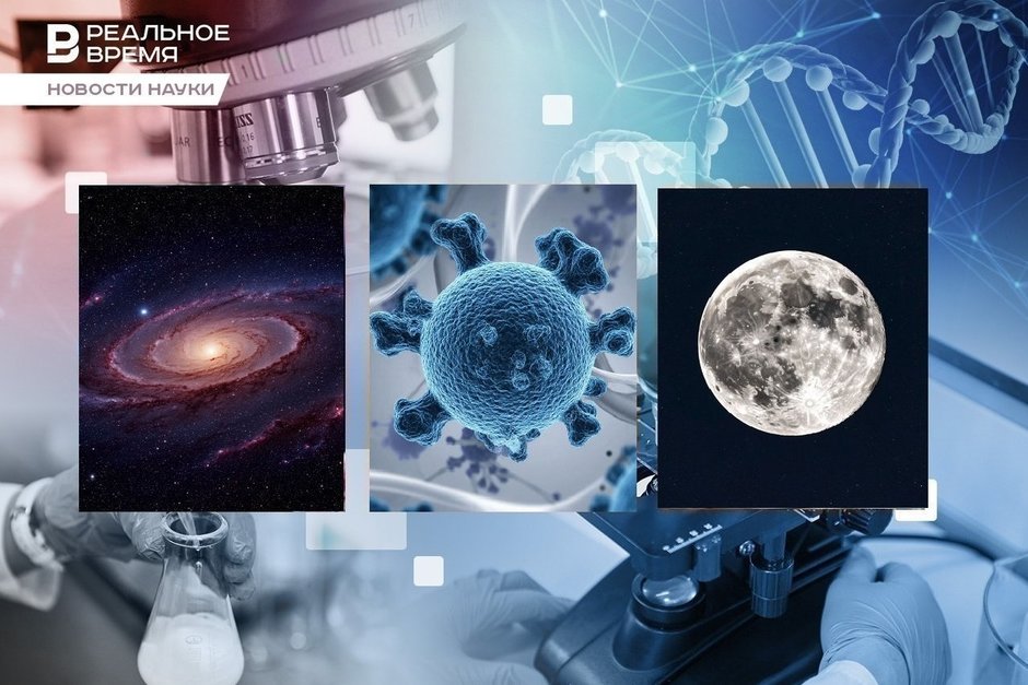 The birth of the Moon, meeting dark matter, 9 months with a pig kidney