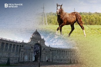 Tatarstan announces new horse breeding development programme
