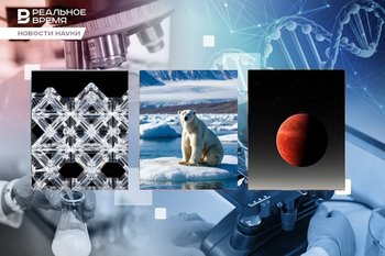 A time crystal, a new potentially habitable planet, fattened polar bears