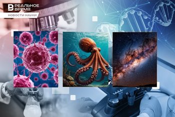 Regulating metastases, giant octopuses, the edge of the milky way
