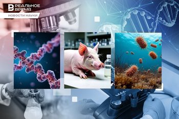The secret of centenarians, the oldest traces of life, pigs for xenotransplantation