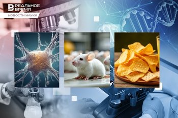 Science news: Superbacteria, inherited procrastination, cancer therapy